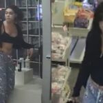 டொரோண்டோவில் கடை ஊழியர்களை தாக்கிய பெண் – காவல்துறையின் தேடல் தொடர்கிறது