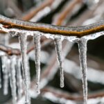 டொரன்டோ பெரு நகர் பகுதிக்கு ஆலங்கட்டி மழை எச்சரிக்கை!