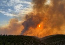 அல்பெர்டா மாகாணத்தில் காட்டுத் தீ: பலர் வெளியேற்றம்