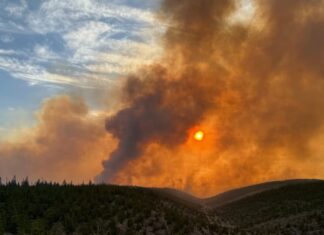 அல்பெர்டா மாகாணத்தில் காட்டுத் தீ: பலர் வெளியேற்றம்