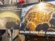 Canada in talks with US on Golden Dome missile defence project