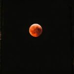 Toronto வில் தோன்றி மறைந்த அபூர்வ ‘Blood Moon’ – இனி 2029-இல் தான் தென்படும்!