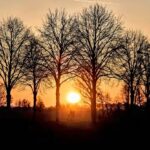 வீதி விபத்துகள் மற்றும் இதய பாதிப்புகள் அதிகரிக்கும் – கனடாவின் நேர மாற்றத்தினால்: சிலருக்கு மகிழ்ச்சி, பலருக்குத் தவிப்பு!