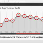 டொராண்டோவில் பலத்த காற்று எச்சரிக்கை – மின்சாரம் துண்டிக்கப்படும் அபாயம்!