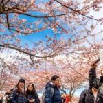 இந்த வார இறுதியில் வான்கூவரில் (Vancouver) மிஸ் பண்ணக் கூடாத 15 நிகழ்வுகள்!