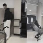 பல்கலைக்கழகத்திற்குள் புகுந்த கனடா வாத்து (Canada Goose): மாணவர்கள் அலறியடித்து ஓட்டம்!