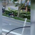நிறுத்து சைகையை (Stop Sign) மீறிய சைக்கிள் ஒட்டியவரை தரையில் தள்ளி கைது செய்த பொலிஸார்!