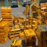 ஹேமில்டனில் Home Depot கடைகளைக் குறிவைத்துத் திருடிய 32 பேர் கைது!