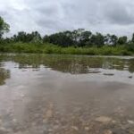 கனமழையால் வேகமெடுக்கும் Grand River நீரோட்டம் — நீர்நிலைகளை நெருங்க வேண்டாம்!