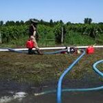 ஒரே வாரத்தில் பெருமழை — வெள்ளத்தில் மூழ்கிய Niagara திராட்சைத் தோட்டங்கள்!