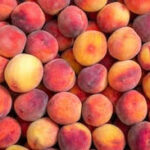 Peach, Plum விலை உயரலாம்! Niagara வெள்ளத்தின் அடுத்த தாக்கம்!